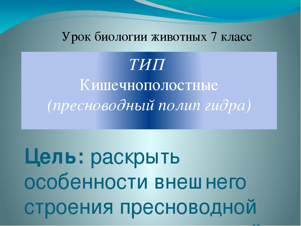 Почему не работает сайт кракен